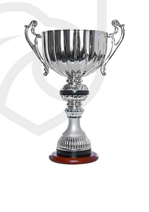 http://crcql.org.pt/wp-content/uploads/2022/11/trophy_overlay_01-2.jpg