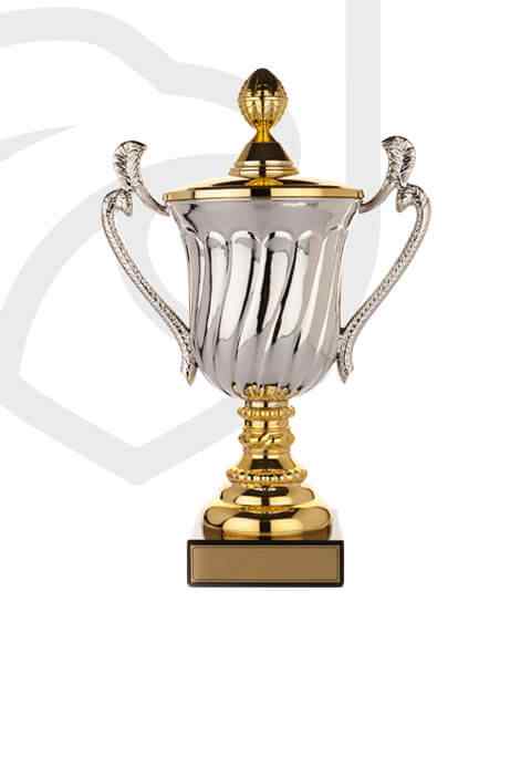http://crcql.org.pt/wp-content/uploads/2022/11/trophy_overlay_02-2.jpg
